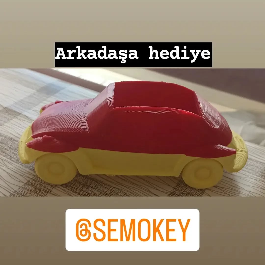 3D Baski Vosvos Ciceklik - Metin Atiktürk 3D